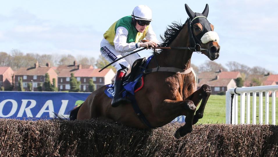 Horse jumping